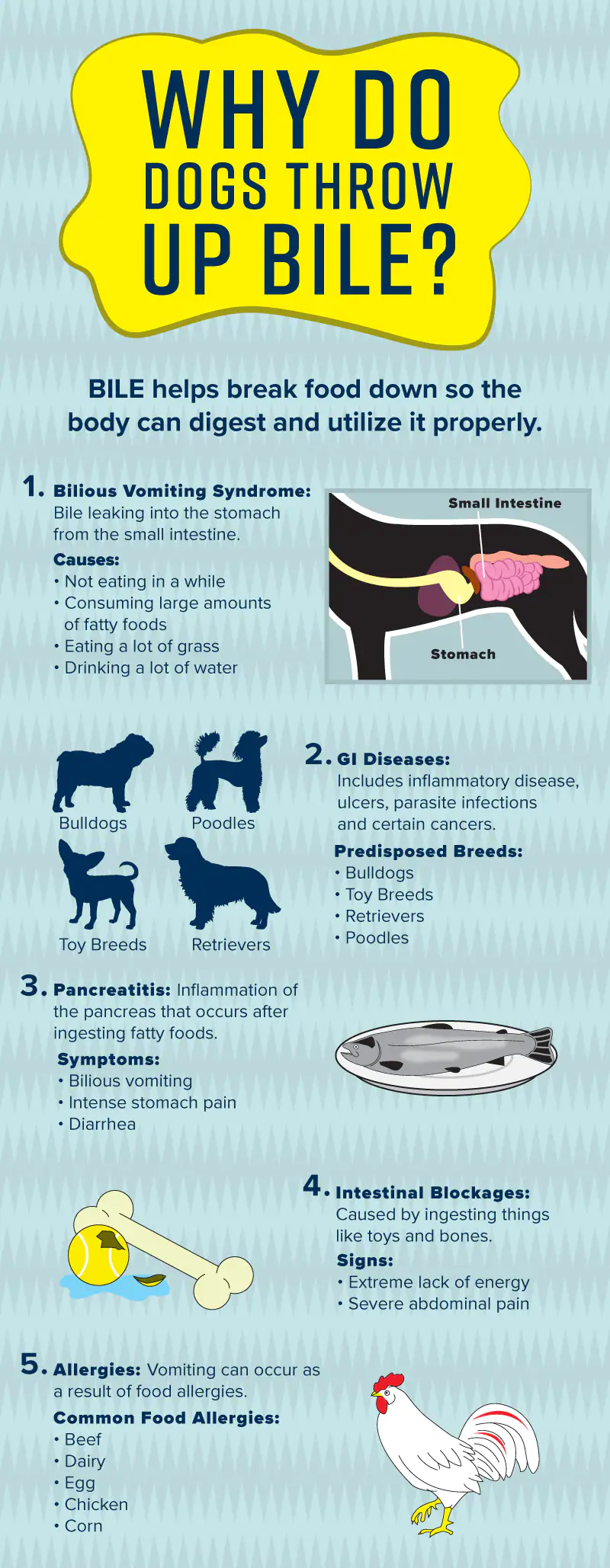 狗呕吐胆汁的原因包括乏味呕吐综合征，胃肠病，胰腺炎，肠梗阻和食物过敏。