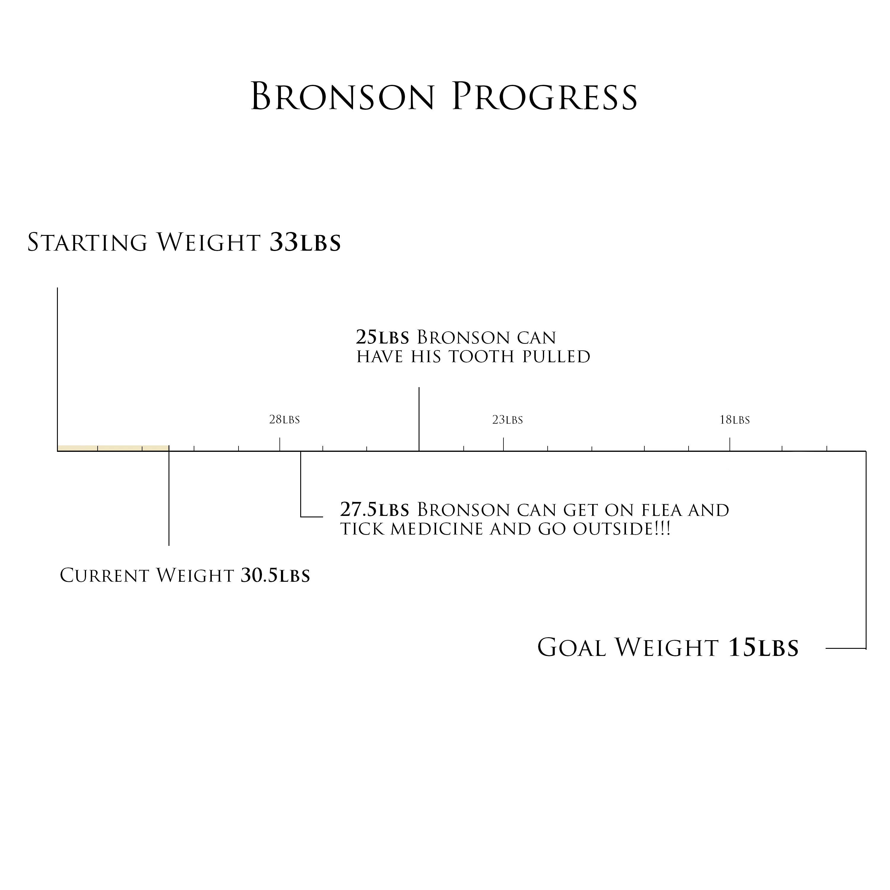 布朗森减肥目标
