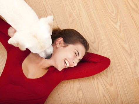 狗舔面孔，狗亲吻，愉快的狗，愉快的人，地板锻炼